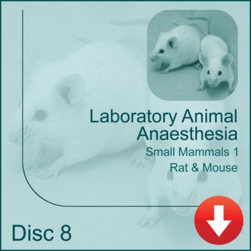 Laboratory Animal Anesthesia – KIC3Rs